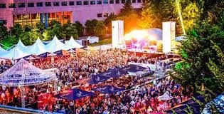 Foto van de menigte op het Hap Stap Festival